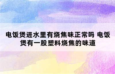 电饭煲进水里有烧焦味正常吗 电饭煲有一股塑料烧焦的味道